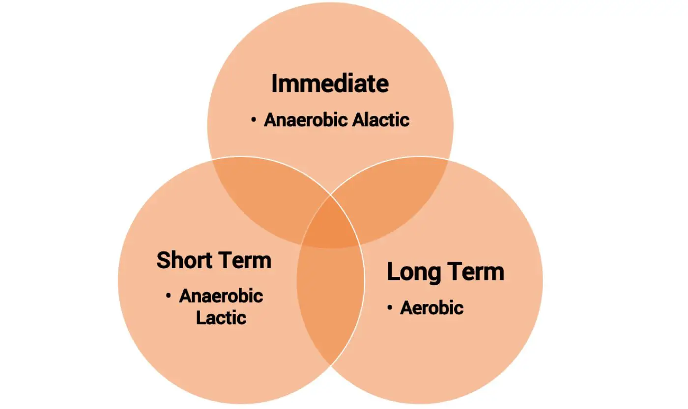 Aerobic Anaerobic and Alactic